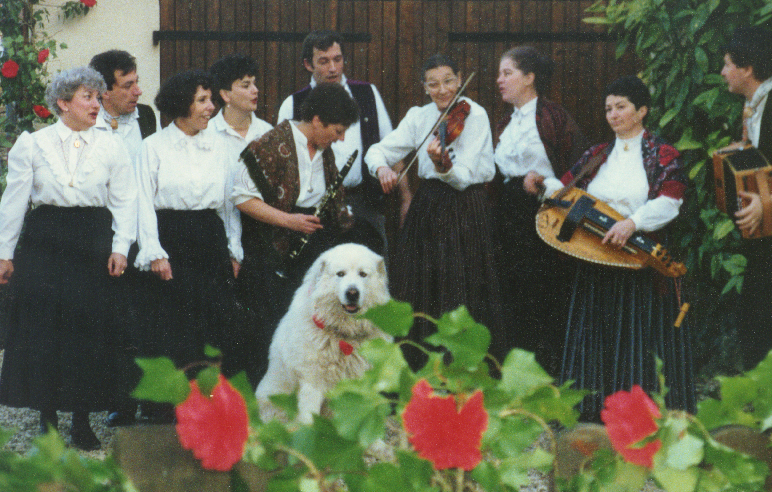 1993-1-31 Saint-Vincent à Marsannay