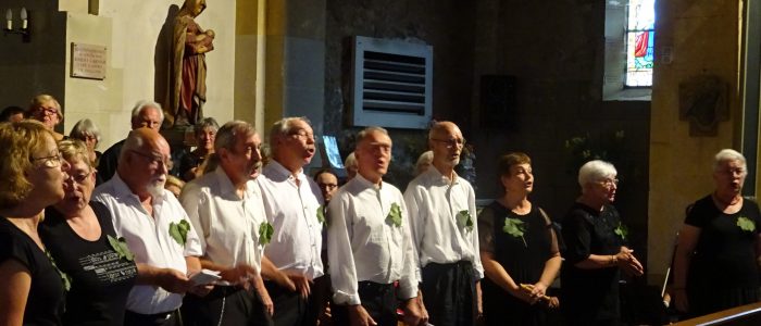 2018-08-18 Fête de la Vielle Anost (14)